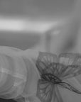 The Silk Butterfly - Blanc