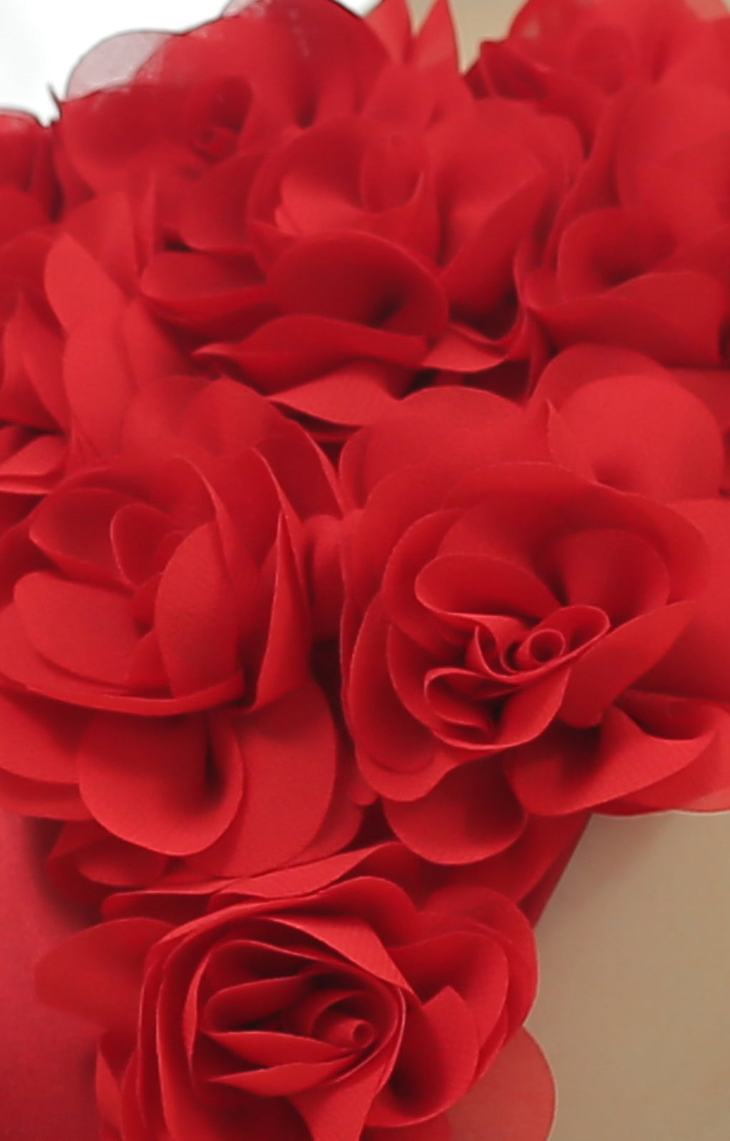 The American Beauty - Rouge