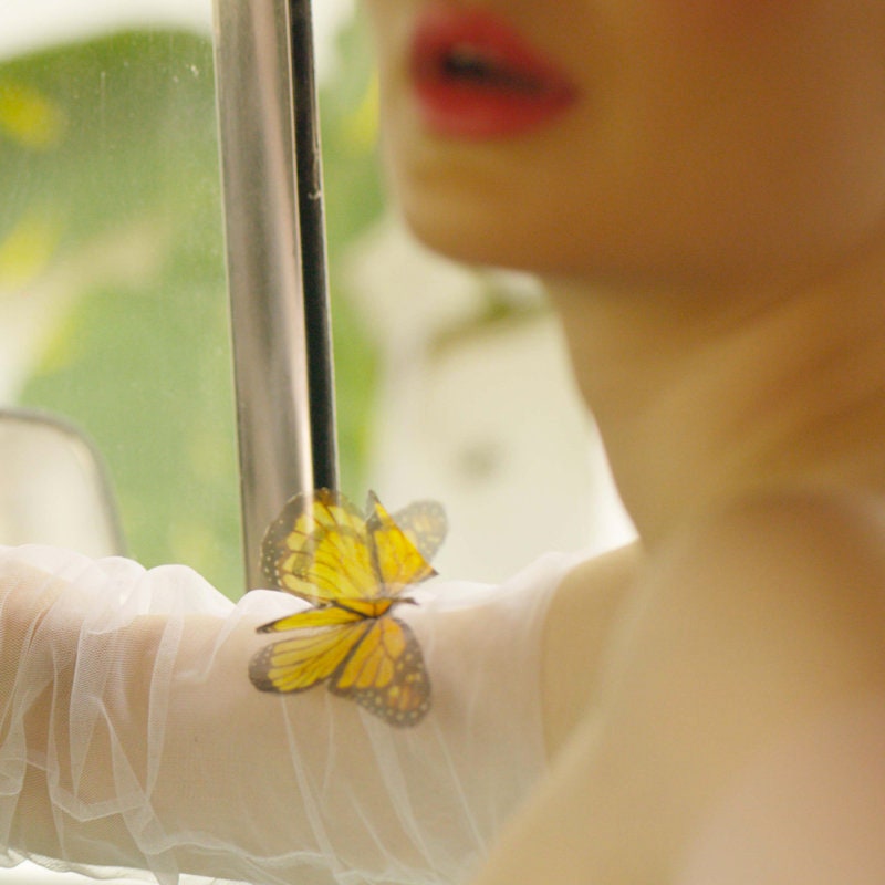 The Silk Butterfly - Blanc