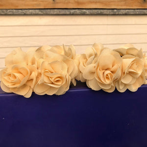 The Caramel Carnations